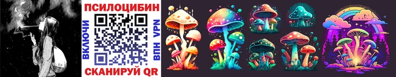 Галлюциногенные грибы Psilocybine cubensis  Лагань 