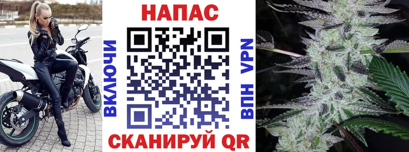 даркнет сайт  Лагань  Шишки марихуана SATIVA & INDICA 